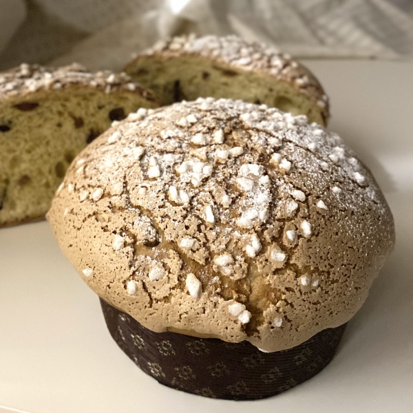 パネトーネ〈マロン〉